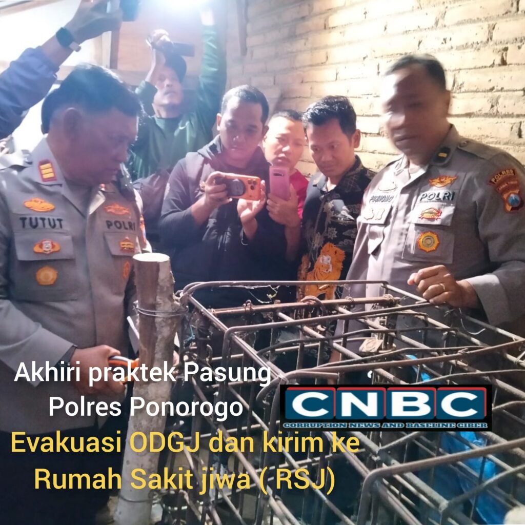 InCollage_20260203_072257290