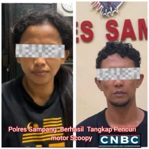 InCollage_20260206_163854771