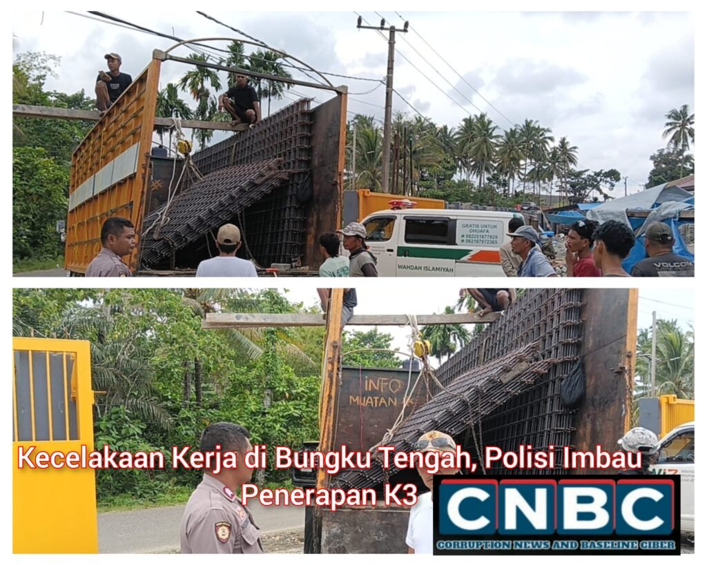 InCollage_20260208_070945364