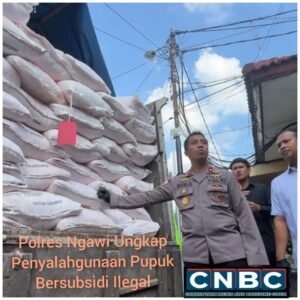 InCollage_20260209_192627810