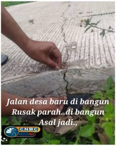 InCollage_20260217_203838027