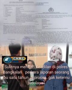 InCollage_20260224_044002667