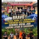 Bravo ! Polres, Kodim 1311 Morowali dan Pemerintah Desa Bahomakmur Gerebek Arena Judi Sabung Ayam di Bahodopi
